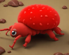 ସାଧବ ବୋହୂ